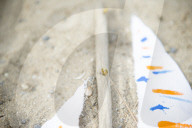 Do it yourself: Toy Sailboat made of Canvas and Flotsam