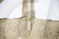 Do it yourself: Toy Sailboat made of Canvas and Flotsam