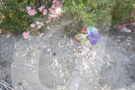 Collected Mussels, Plastic Bucket and Toys left alone