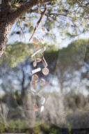 Windbells made of Mussels and Branchs