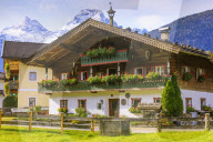 Pinzgauer farm in Austria