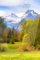 Meadow, forest and corridor in the Salzburger Saalachtal