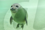 FEATURE - Best of - Bilder vom Wochenende