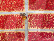 FEATURE - Best of - Bilder vom Wochenende