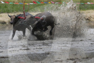 FEATURE - Best of - Bilder vom Wochenende