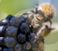 FEATURE - Best of - Bilder vom Wochenende