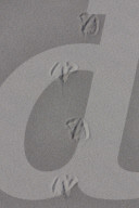 Gull Tracks