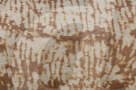 Beaver Gnaw Marks