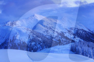 Snowy winter landscape