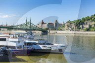 Liberty Bridge in Budapest