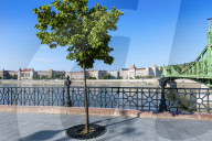 City View of Budapest