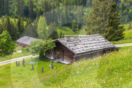 Alp Cabin