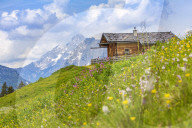 Alp Cabin in Pinzgau
