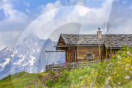 Alp Cabin in Pinzgau
