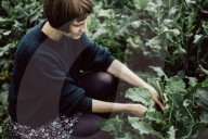 Woman picking Cabbage