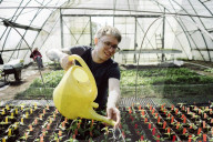Man watering Seedlings in a Nursery