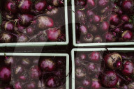 Beetroot