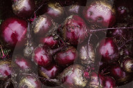 Beetroot
