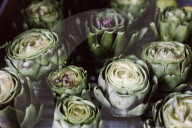 Artichokes