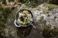 Savoy Cabbage with mashed Potatoes