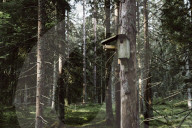Bird-House