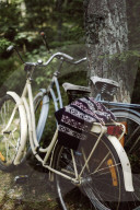 Two Bikes leaning against a Tree in a Forest