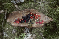 Wild Berries