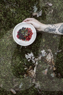 Wild Berries