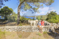 Little child in an olive grove