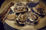 Oysters