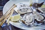 Oysters