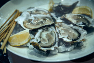 Oysters