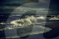 Waves