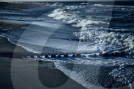 Waves