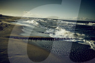 Waves