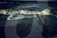 Waves