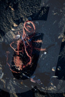 Flotsam