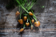 Mini Möhren, Mini Carrot