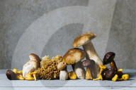 Zutaten Gemischte Pilzsuppe mit Esskastanien, Ingredient Mixed mushroom soup with sweet chestnuts