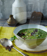 Spinat-Limetten-Creme, Spinach Lime Soup