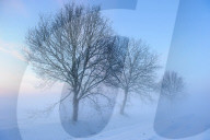 Winter evening
