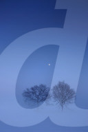 Winter evening