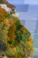 Chalk cliffs on the island Ruegen in autumn