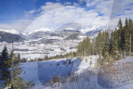 Winter landscape