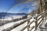 Winter Landscape