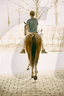 Boy enjoying his Leisure Time at a Riding Stable