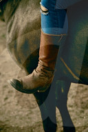 Woman enjoying her Leisure Time at a Riding Stable