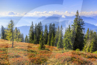 View on an autumn morning from Hochkeil