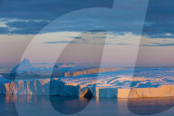 Kangia Icefjord morning