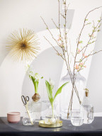 Japanische Zierquitte, weisse gefuellte Tulpe und weisse Hyacinthe, Japanese flowering quince, white Tulip and white Hyacinth